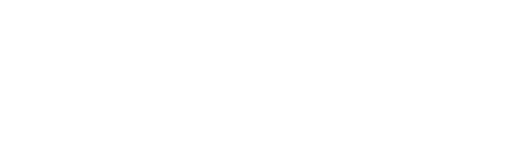 Steam